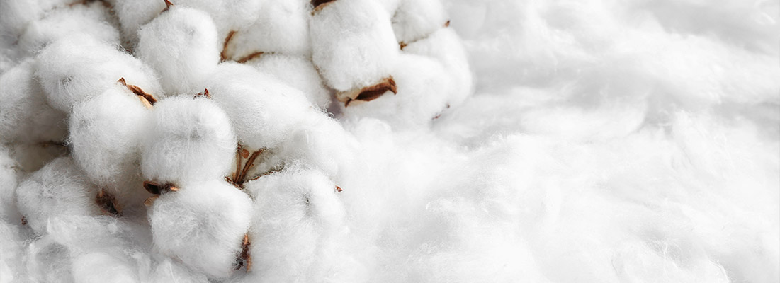 cotton.jpg