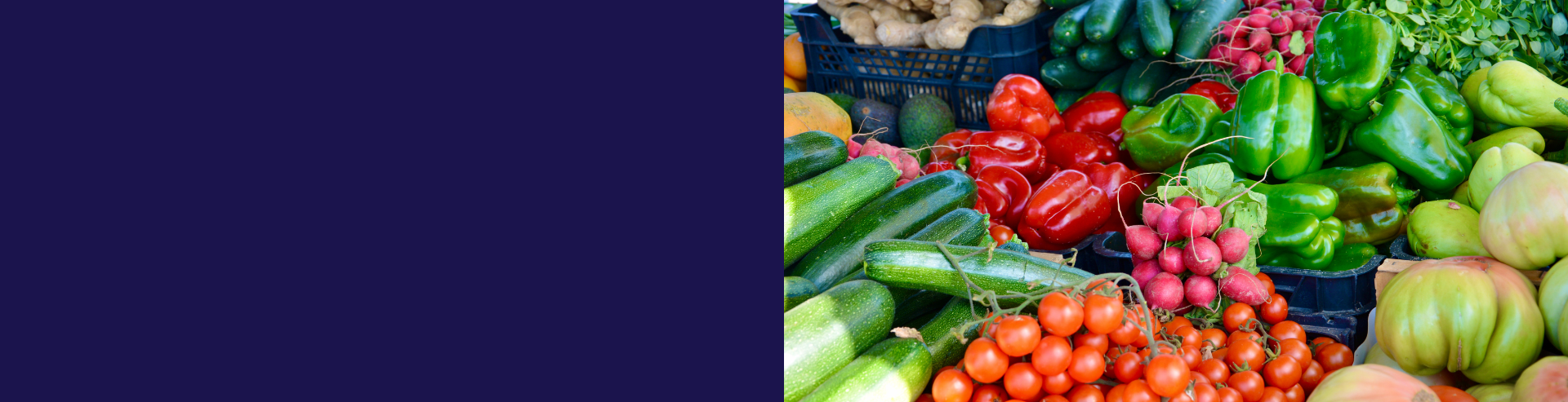 VEGGIE 1920X493PX.png